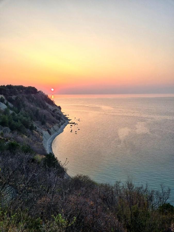 Apartma Pinea Portorož Extérieur photo